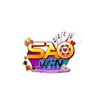 Profile (saowintech)