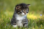 avatar01994283-9988-748d-98bb-bde4e8f622b4.png