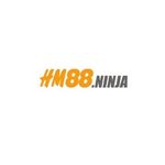 Profile (hm88ninja)