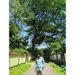 Profile (akashlmh007)