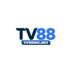tv88incnet