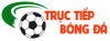 avatar0199c1e9-b62a-7d4a-b5b0-1b7b29c3d2ab.png