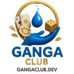 Profile (gangaclubdev)