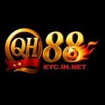 Profile (qh88kyc1)