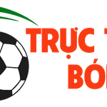 tructiepbongdao