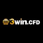 Profile (3wincfd)