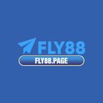 FLY88 (1).jpg