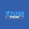 FLY88 (1).jpg