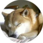 画像1.jpg