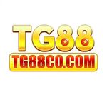 Profile (tg88cocom1)