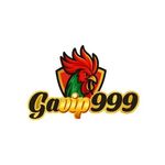 gavip9999com