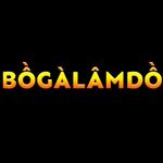 Profile (bogalamdo)