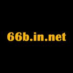 Profile (66binnet)