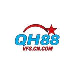 Profile (qh88vfs1)
