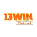 Profile (13win1art)