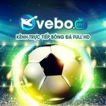 Profile (footballvebo)