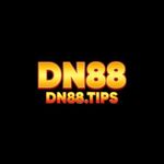 dn88tips