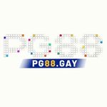 pg88gay