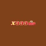 x333dev