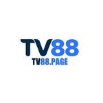 tv88page