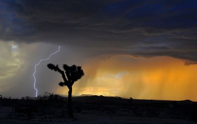 Lightning, lightning everywhere – some places more than others
