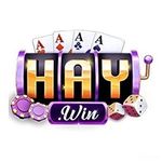 3haywincom1