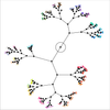 A Constellation Plot produced by performing Hierarchical Clustering on the data.