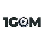 1gomsinnet