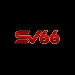 sv66zcocom