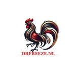 drfreezenl