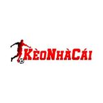 tylekeonhacaila