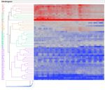 7542_Cluster Heat Map EIA-b.jpg