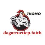 dagatructiepfai