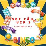 soicauvip1
