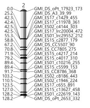 13_LinkMap_3D_Chrom2.png 13_LinkMap_3D_Chrom2.png